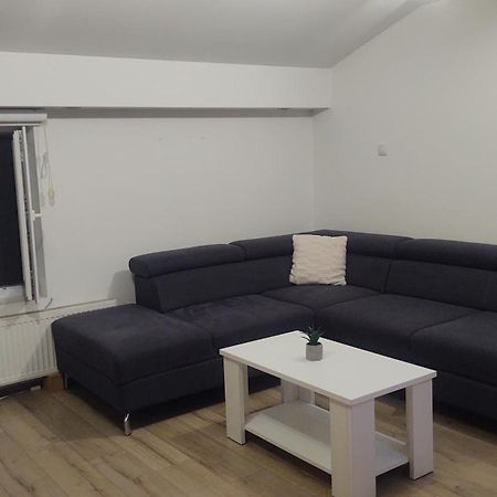 Apartman Big Novi Sad Exterior photo
